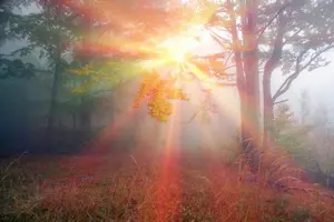 Discover how to discern God's voice from your thoughts or the enemy. Use a simple checklist to confirm God's leading and walk in Spirit-led certainty.