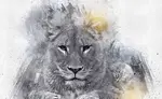 Jesus is the Lion of Judah, and He invites you to walk after Him! Accept His invitation to lead you on an amazing, miraculous journey in His Kingdom.