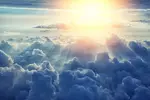 test-prophecy