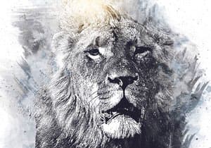 The Lion of Judah