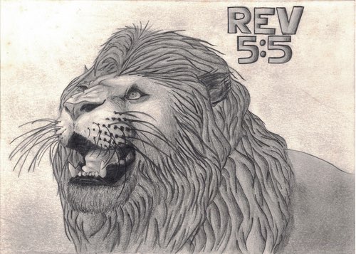 Roaring Lion of Judah Drawing