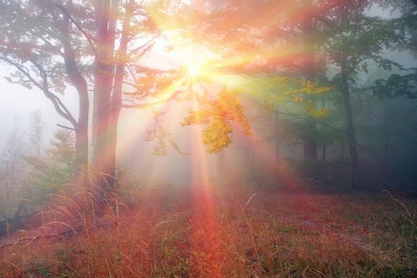 Discover the nine gifts of the Spirit and learn how to activate these supernatural abilities in your daily life. A practical guide for every Christian.