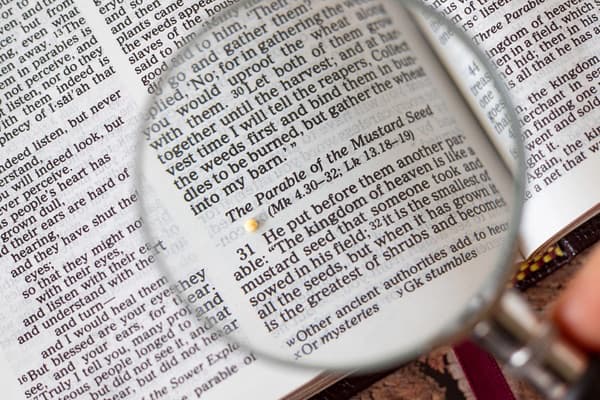 Parable of the Mustard Seed Scripture