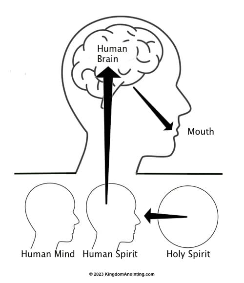The Gift of Prophecy Illustrated