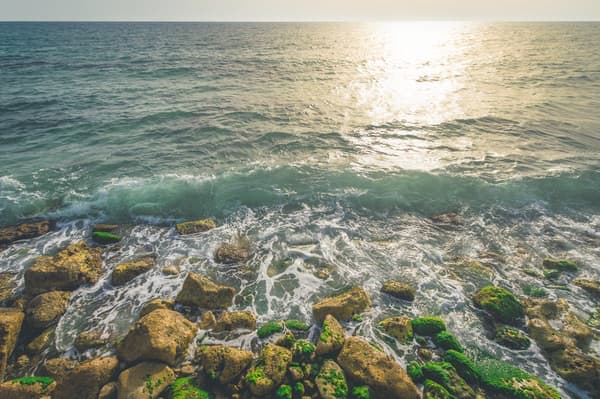 Discover the purpose of prophecy in The New Testament. Learn how this powerful gift of the Spirit builds up believers and transforms lives in today's church.