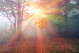 Conceptual Image for The Nine Gifts of the Holy Spirit