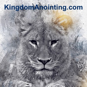 Master the prophetic protocol needed for responsible prophetic ministry. This guide covers self-control, discerning revelation, and the etiquette of prophecy.